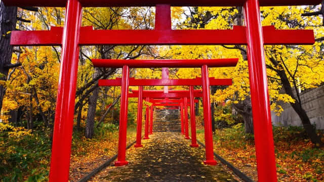 赤い鳥居