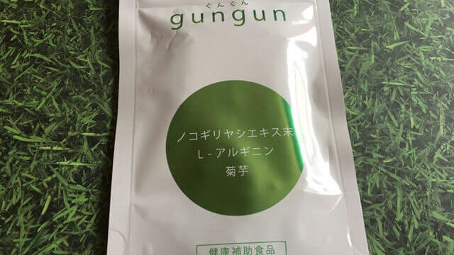未開封のGUNGUN